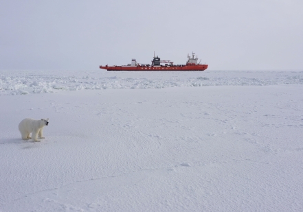 Экипаж атомного контейнеровоза «Севморпуть» завершил работы по доставке груза на ледовый припай реки Енисей  