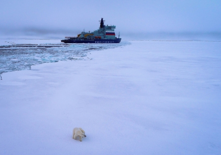 Головной универсальный атомный ледокол «Арктика»  достиг Северного полюса