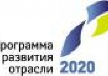 Эксперты о результатах реализации Программы развития отрасли 2020