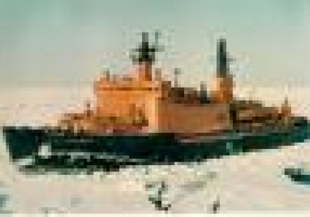 С днем рождения, "Арктика"!