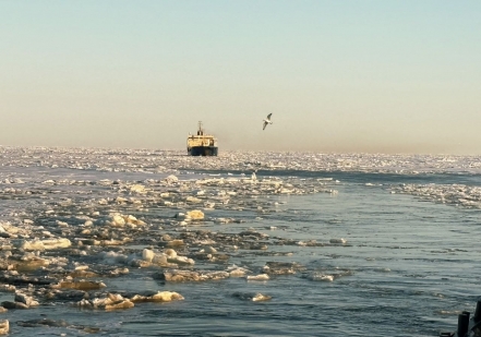 Атомный ледокол «Вайгач» обеспечил первую в этом году проводку каравана судов на восток